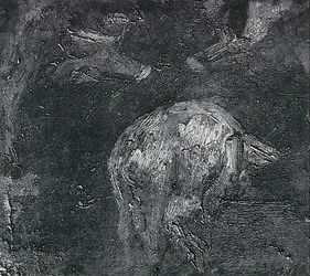 Études de cochons